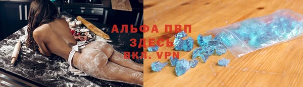 хмурый Аркадак