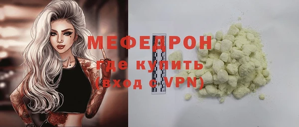 хмурый Аркадак