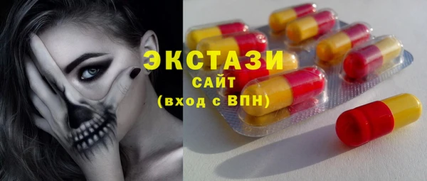 хмурый Аркадак