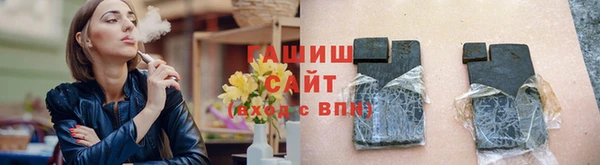хмурый Аркадак