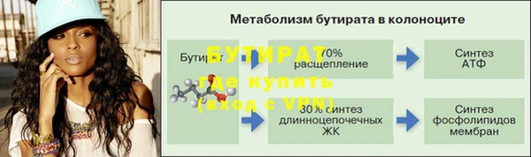 хмурый Аркадак