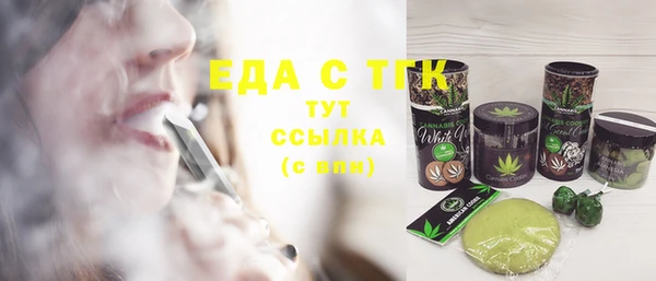 хмурый Аркадак