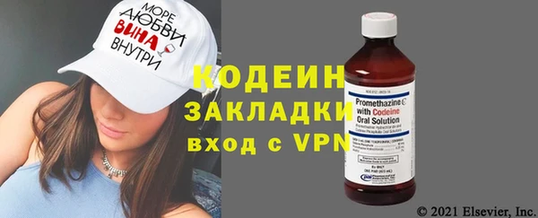 хмурый Аркадак