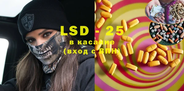 хмурый Аркадак