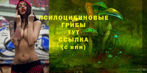 хмурый Аркадак