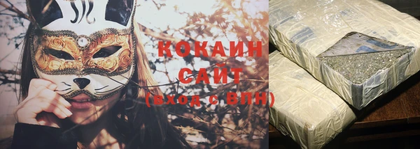 хмурый Аркадак