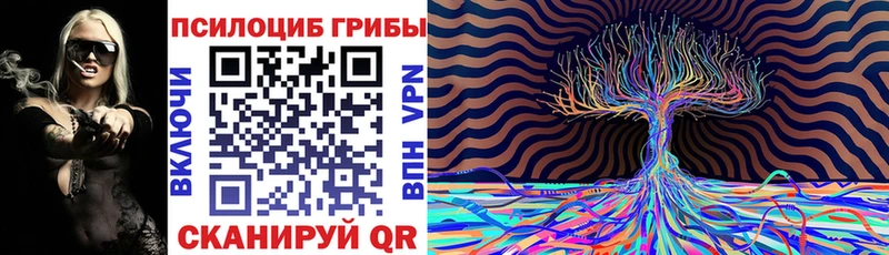 Псилоцибиновые грибы мухоморы  где найти наркотики  OMG ТОР  Вилючинск 